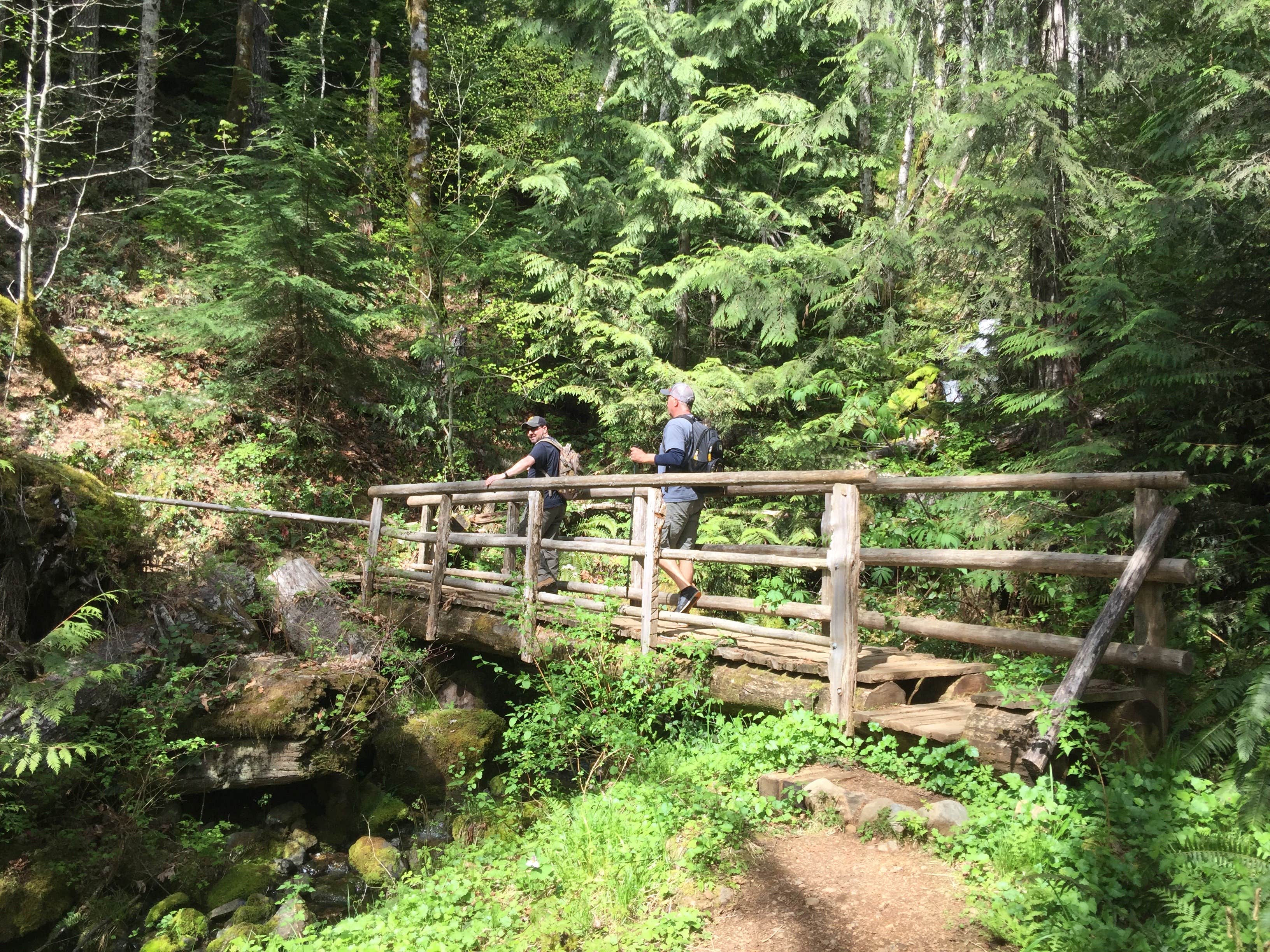Camper-submitted photo at Big Creek Campground near Lilliwaup, WA