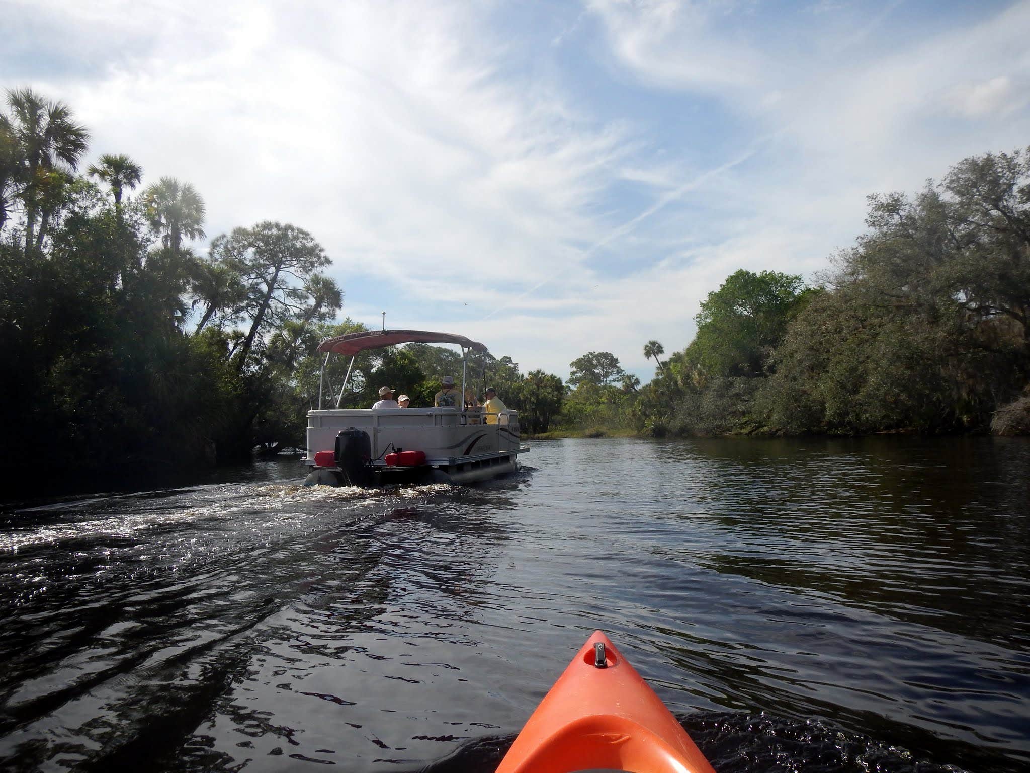 Camper-submitted photo at Palmetto Ridge Campground — Myakka River State Park near Gulfport, FL