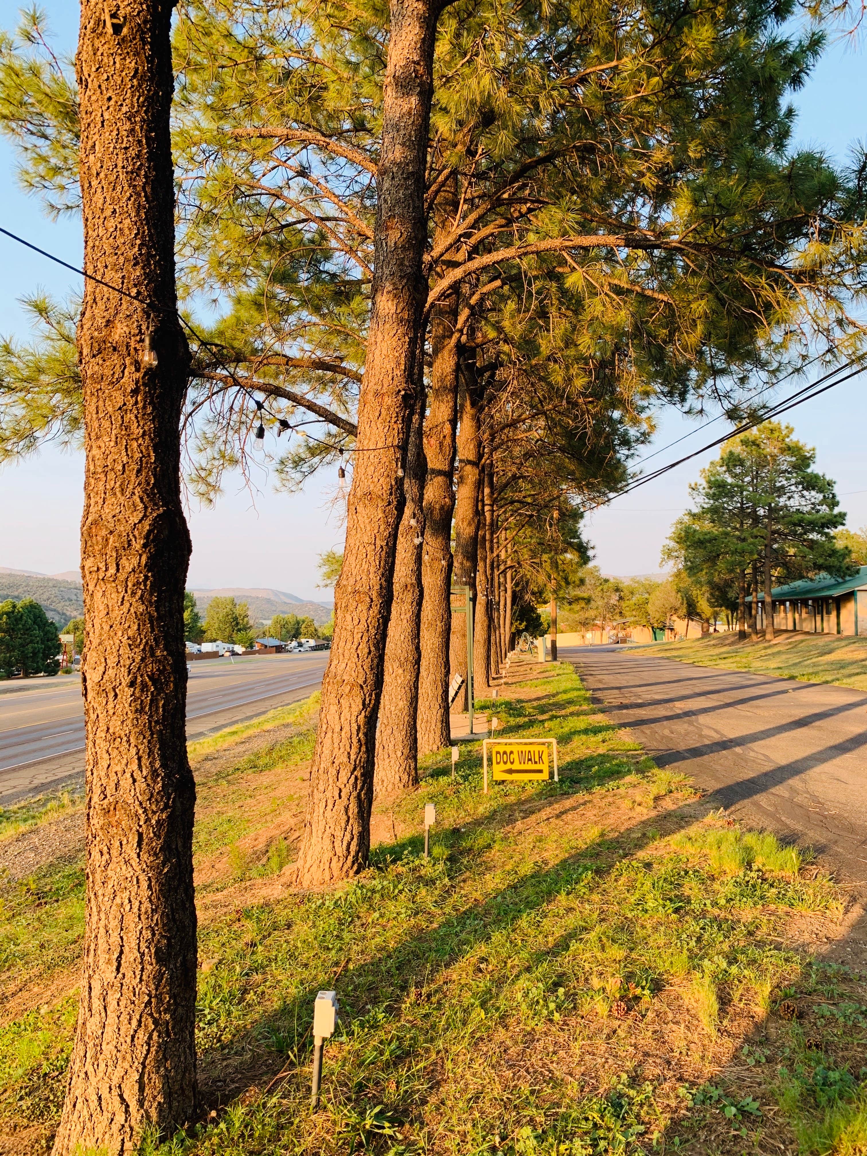 Camper-submitted photo at Slow Play RV Park near Lincoln National Forest