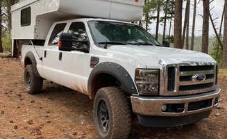 Zachary C.'s photo of rv camping at Fr 171 Campground near Heber-Overgaard, AZ