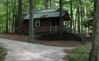 Marla S.'s photo of a cabin at Stony Haven Campground & Cabins near Sparta, MI