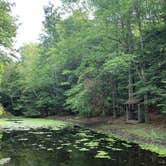 Review photo of Stony Haven Campground & Cabins by Marla S., August 28, 2020