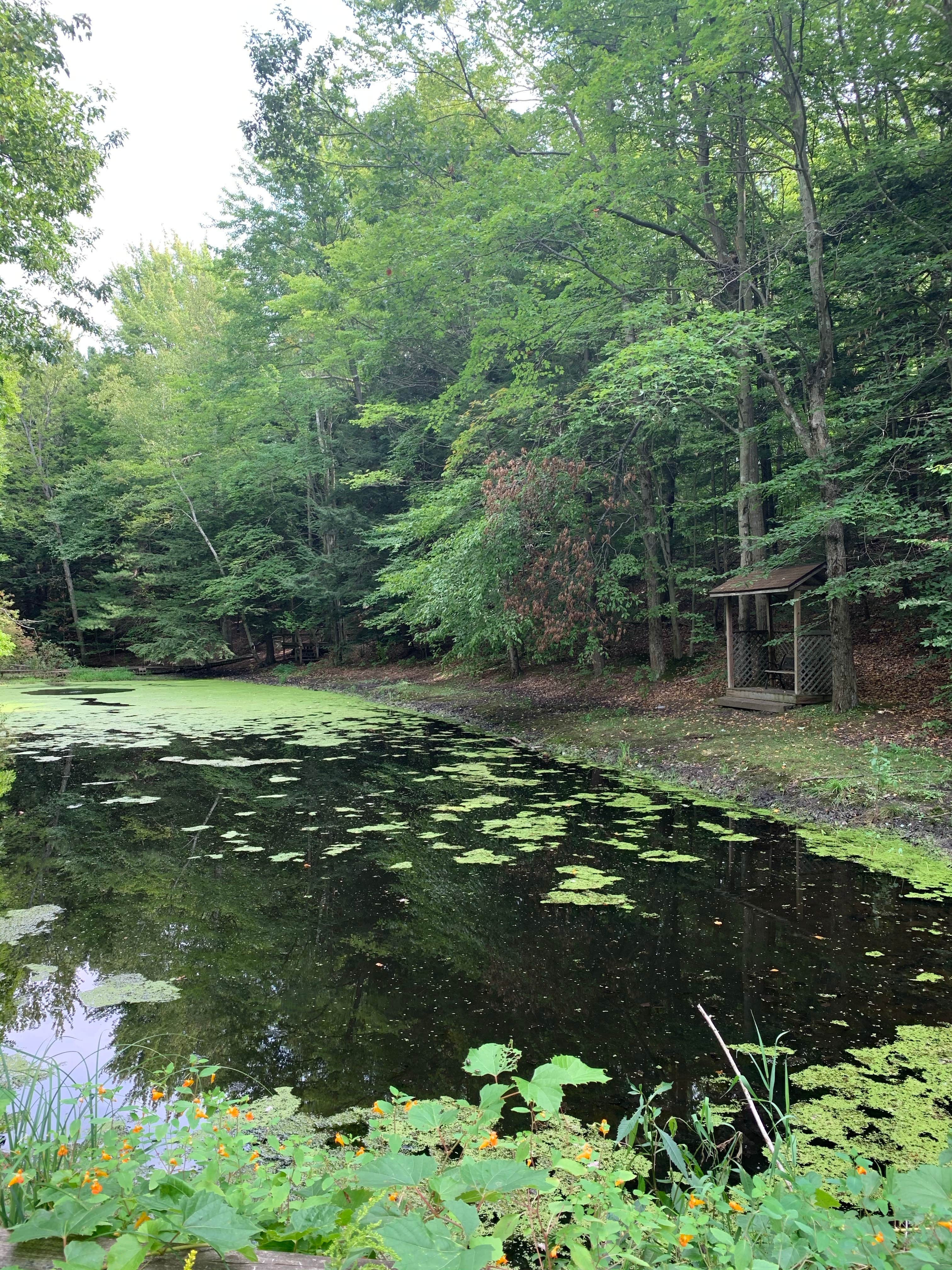 Camper submitted image from Stony Haven Campground & Cabins - 5