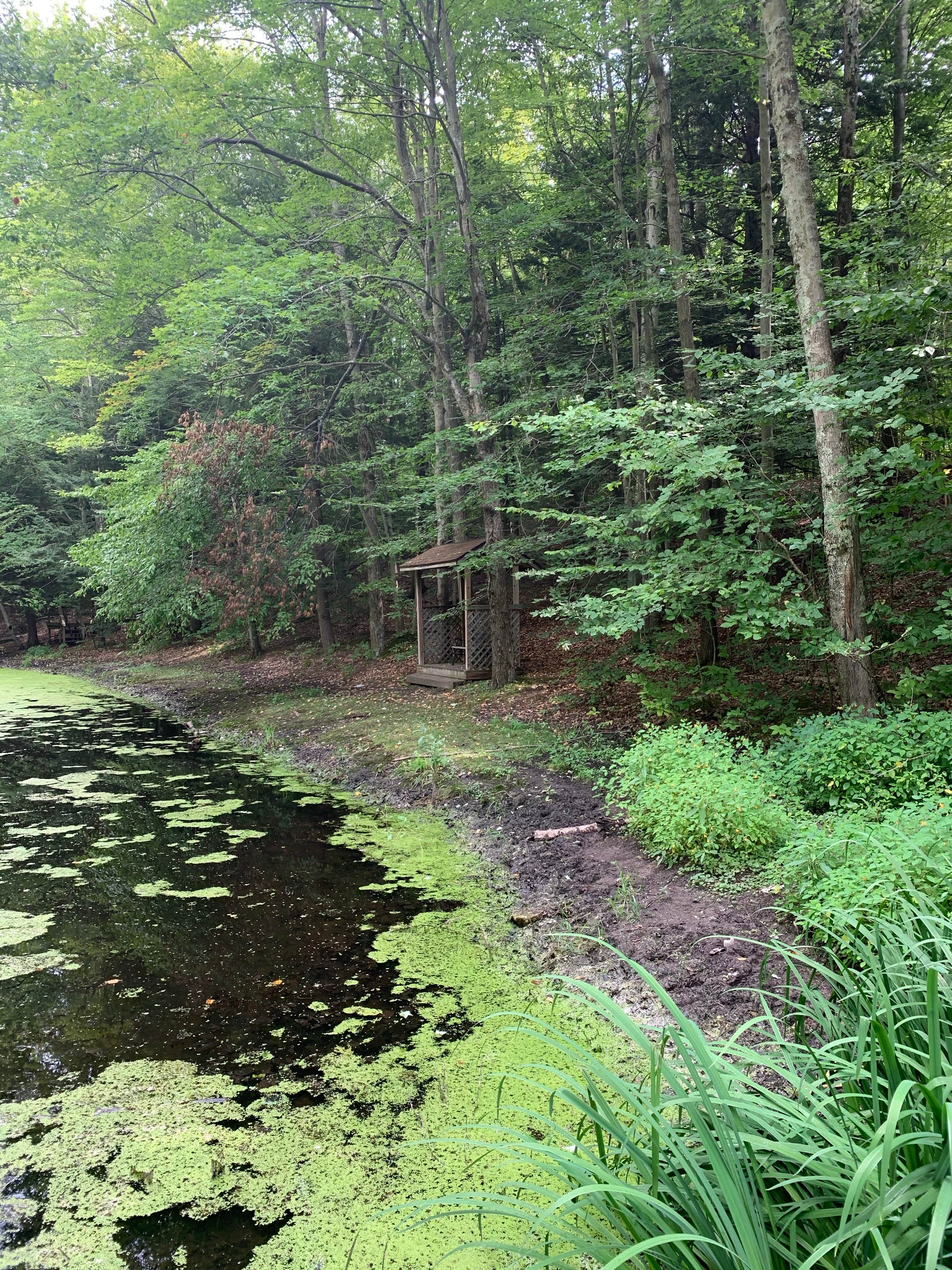 Camper-submitted photo at Stony Haven Campground & Cabins near Hart, MI