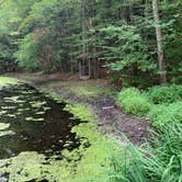 Review photo of Stony Haven Campground & Cabins by Marla S., August 28, 2020