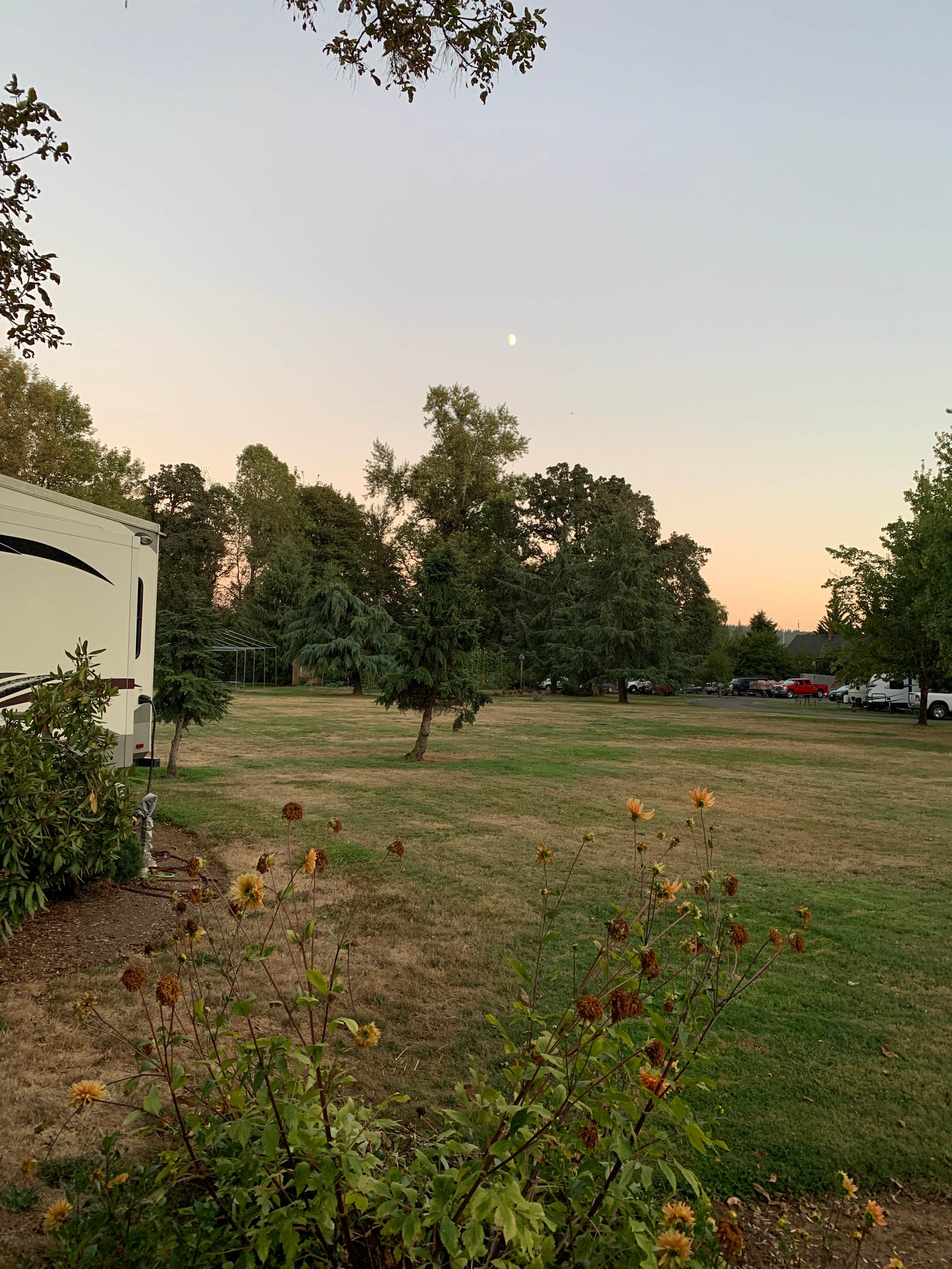 Camper submitted image from Deerwood RV Park - 4