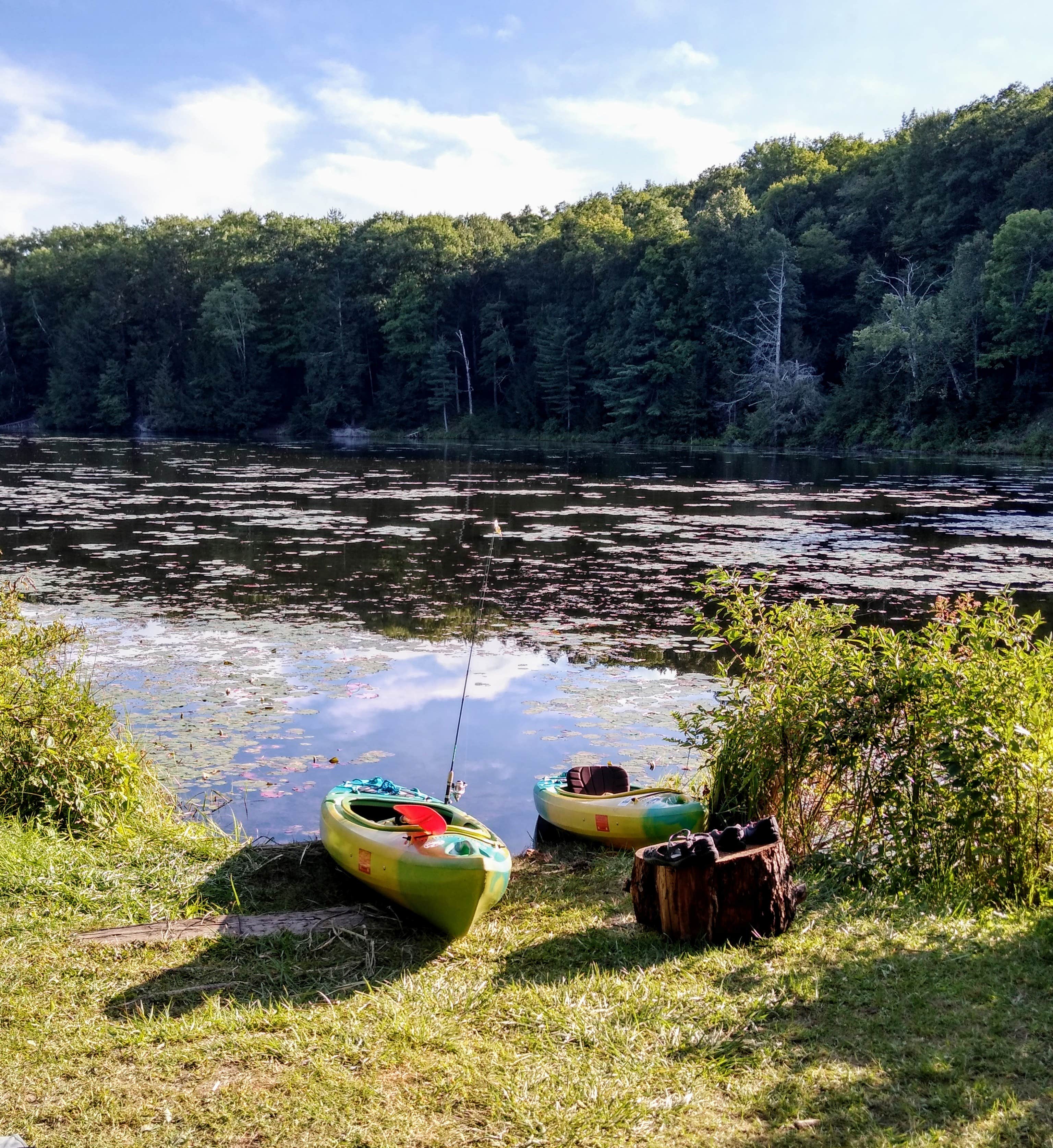 Camper submitted image from Half Moon Pond State Park Campground - 2