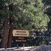 Review photo of Buckhorn Campground by Jessica P., August 28, 2020