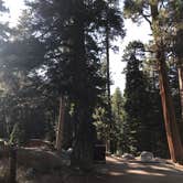 Review photo of Buckhorn Campground by Jessica P., August 28, 2020