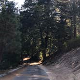 Review photo of Buckhorn Campground by Jessica P., August 28, 2020