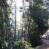 Review photo of Buckhorn Campground - Temporarily Closed by Jessica P., August 28, 2020
