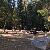 Review photo of Buckhorn Campground by Jessica P., August 28, 2020