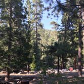 Review photo of Buckhorn Campground by Jessica P., August 28, 2020