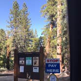 Review photo of Buckhorn Campground by Jessica P., August 28, 2020