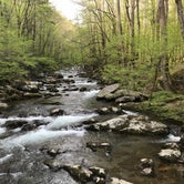Review photo of Big Creek Group Camp — Great Smoky Mountains National Park by Bryan C., May 9, 2018