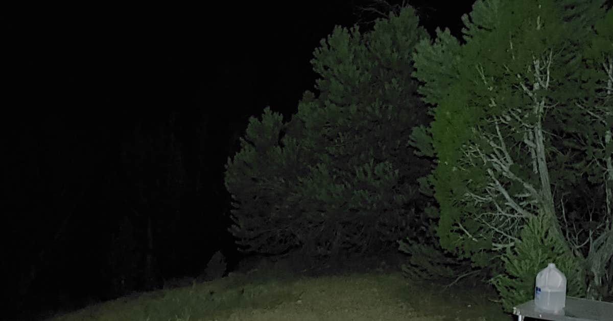 Elk Flat Campground — Cave Lake State Park