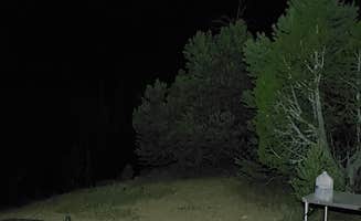 Dennis G.'s photo at Elk Flat Campground — Cave Lake State Park near Great Basin National Park