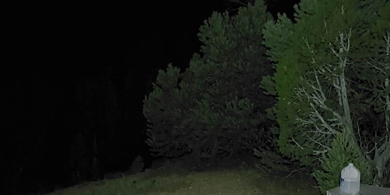 Camper submitted image from Elk Flat Campground — Cave Lake State Park