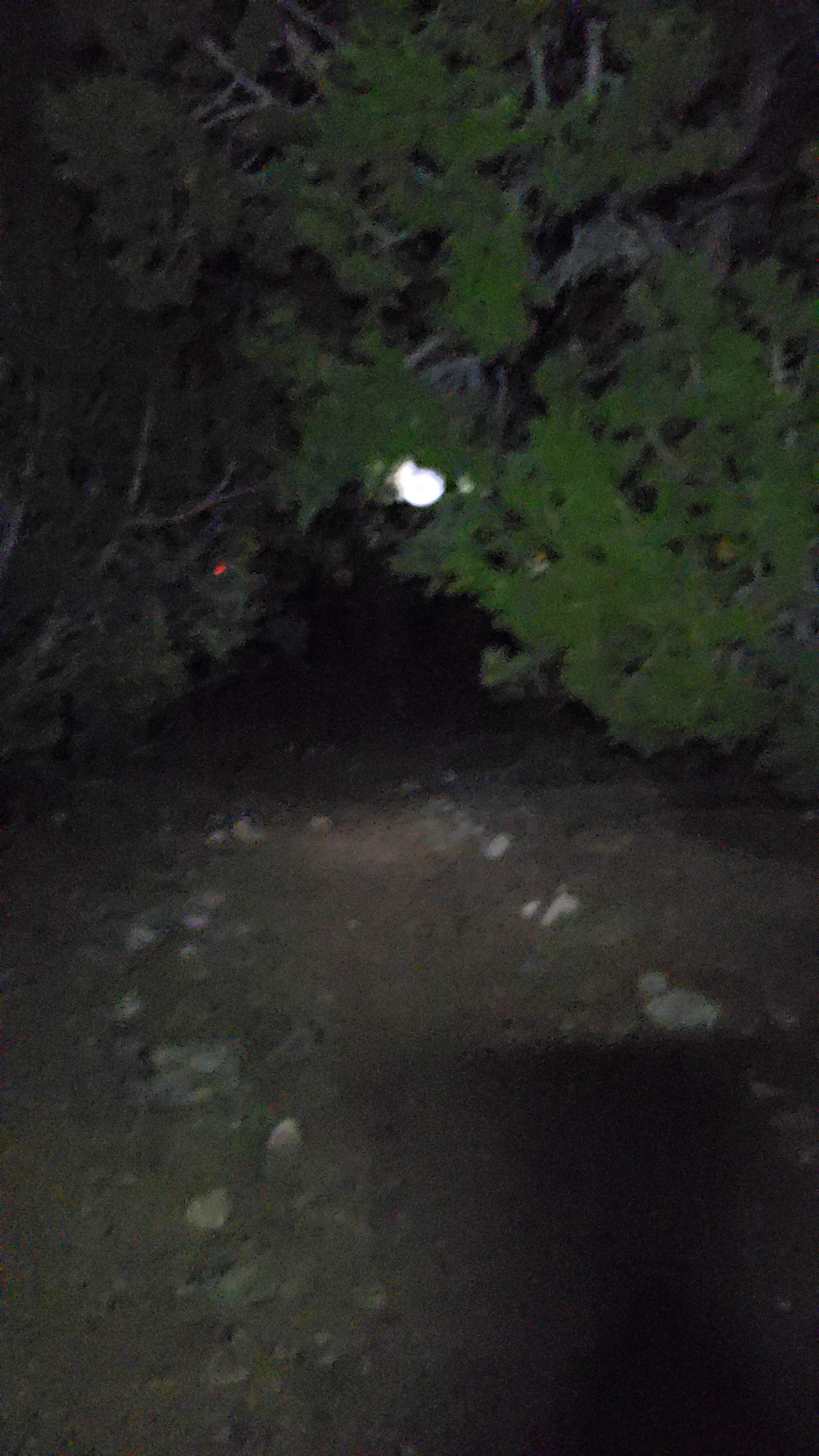 Camper-submitted photo at Elk Flat Campground — Cave Lake State Park near Ruth, NV