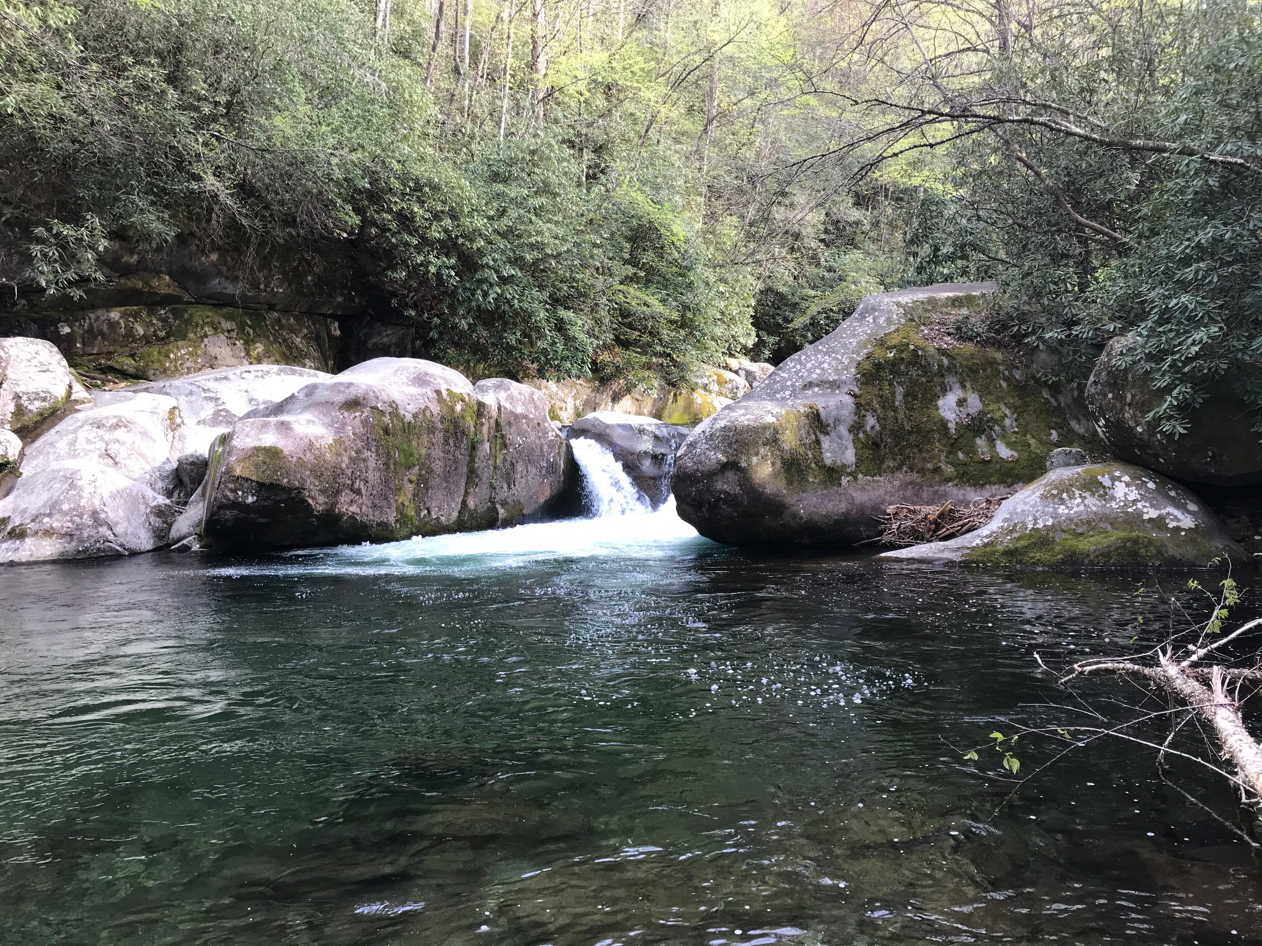 Camper submitted image from Big Creek Group Camp — Great Smoky Mountains National Park - 3