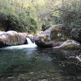 Review photo of Big Creek Group Camp — Great Smoky Mountains National Park by Bryan C., May 9, 2018