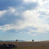 Review photo of Flaming Gorge NRA Dispersed by Dennis G., August 28, 2020