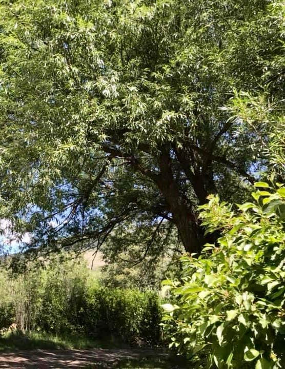 Camper-submitted photo at Red Banks Campground near Richmond, UT
