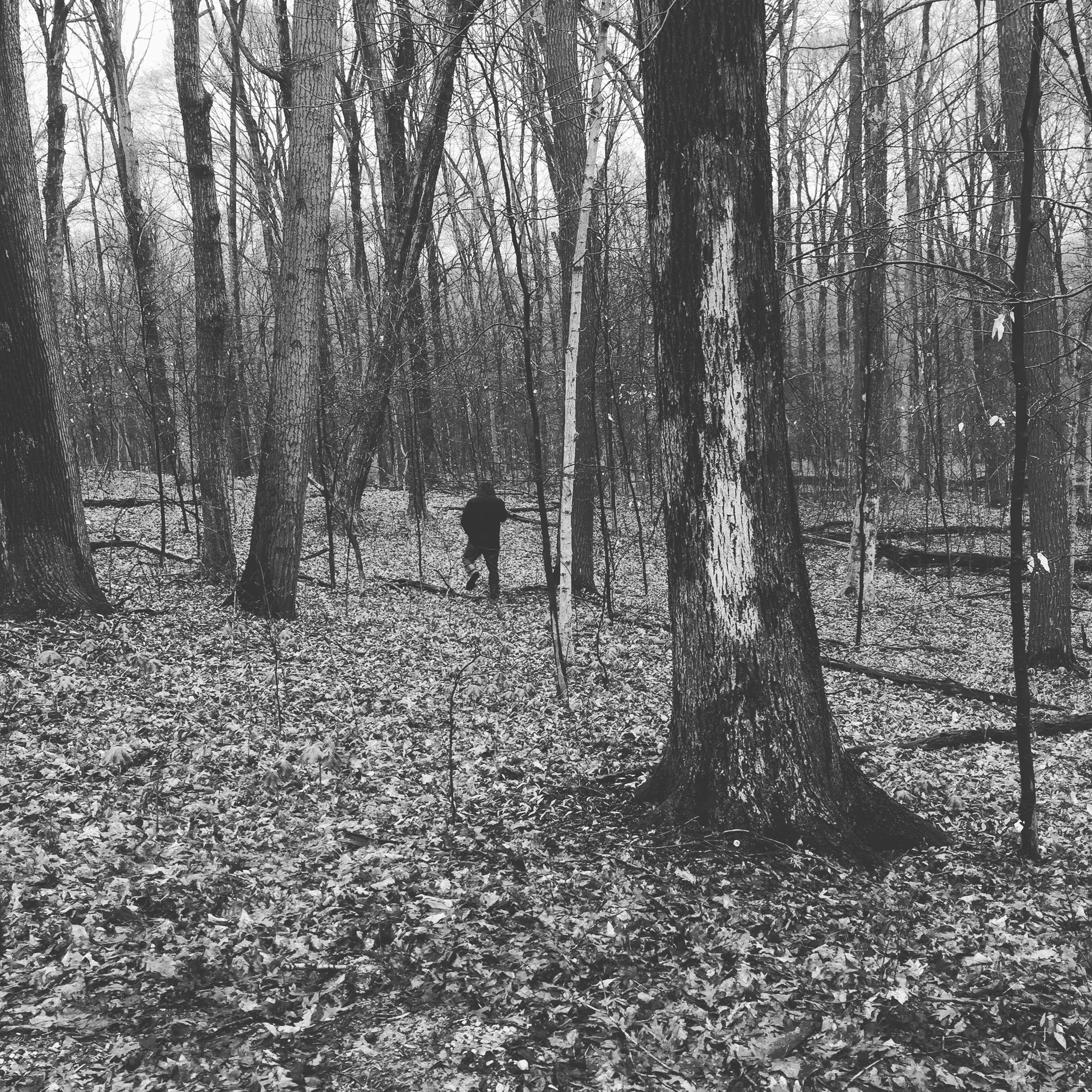 Camper-submitted photo at Rattlesnake near Lebanon, IN