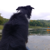 Review photo of Maplewood State Park Campground by Amie N., May 9, 2018