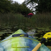 Review photo of Maplewood State Park Campground by Amie N., May 9, 2018