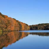 Review photo of Six Pines Campground — Backbone State Park by Jessica H., May 9, 2018