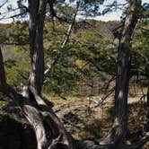 Review photo of Six Pines Campground — Backbone State Park by Jessica H., May 9, 2018