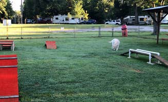 Laura H.'s photo of camping with pets at Bowling Green KOA in Kentucky