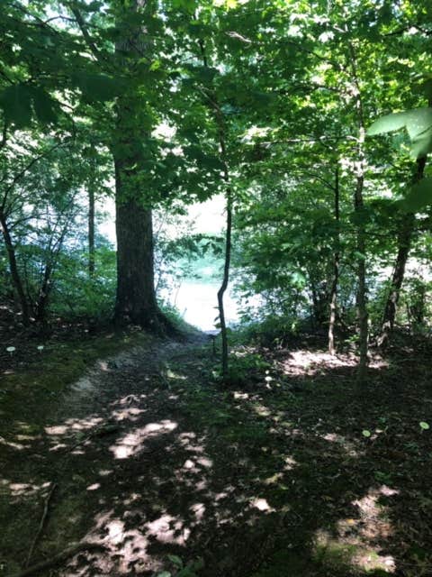 View down to a little swimming cove.