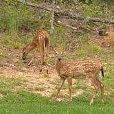 Review photo of Don Carter State Park Campground by Liz H., August 28, 2020