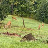 Review photo of Don Carter State Park Campground by Liz H., August 28, 2020