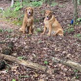 Review photo of Don Carter State Park Campground by Liz H., August 28, 2020