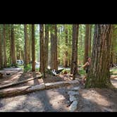 Review photo of Ohanapecosh Campground — Mount Rainier National Park by Brooke H., August 28, 2020