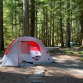 Review photo of Ohanapecosh Campground — Mount Rainier National Park by Brooke H., August 28, 2020