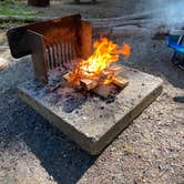 Review photo of Ohanapecosh Campground — Mount Rainier National Park by Brooke H., August 28, 2020