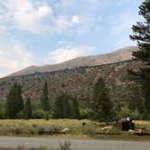 Review photo of Big Meadows Campground by Toni P., August 28, 2020