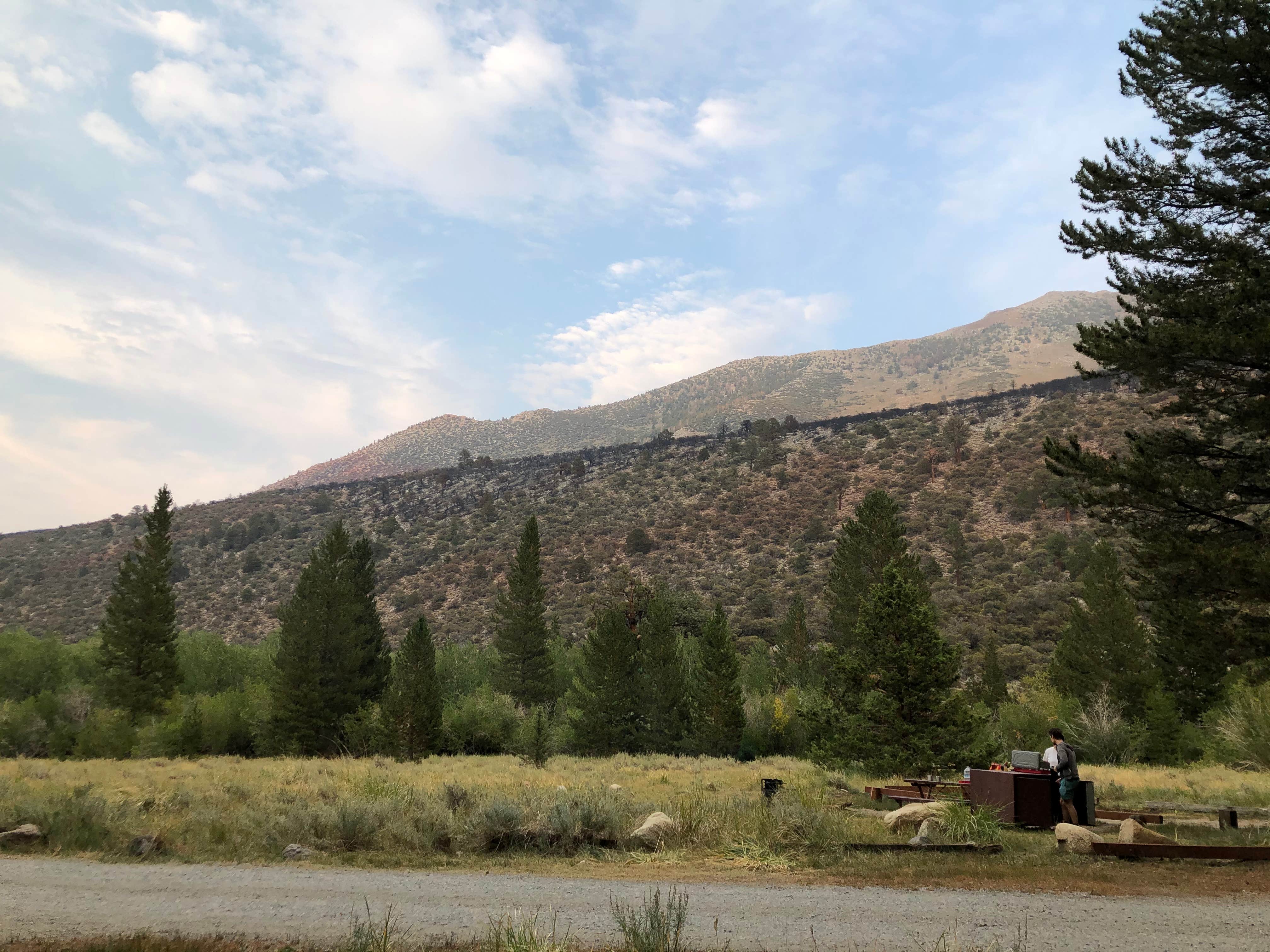 Camper submitted image from Big Meadows Campground - 5