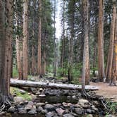 Review photo of Big Meadows Campground by Toni P., August 28, 2020