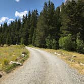 Review photo of Big Meadows Campground by Toni P., August 28, 2020