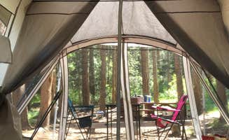 Toni P.'s photo at Big Meadows Campground near Tahoe National Forest