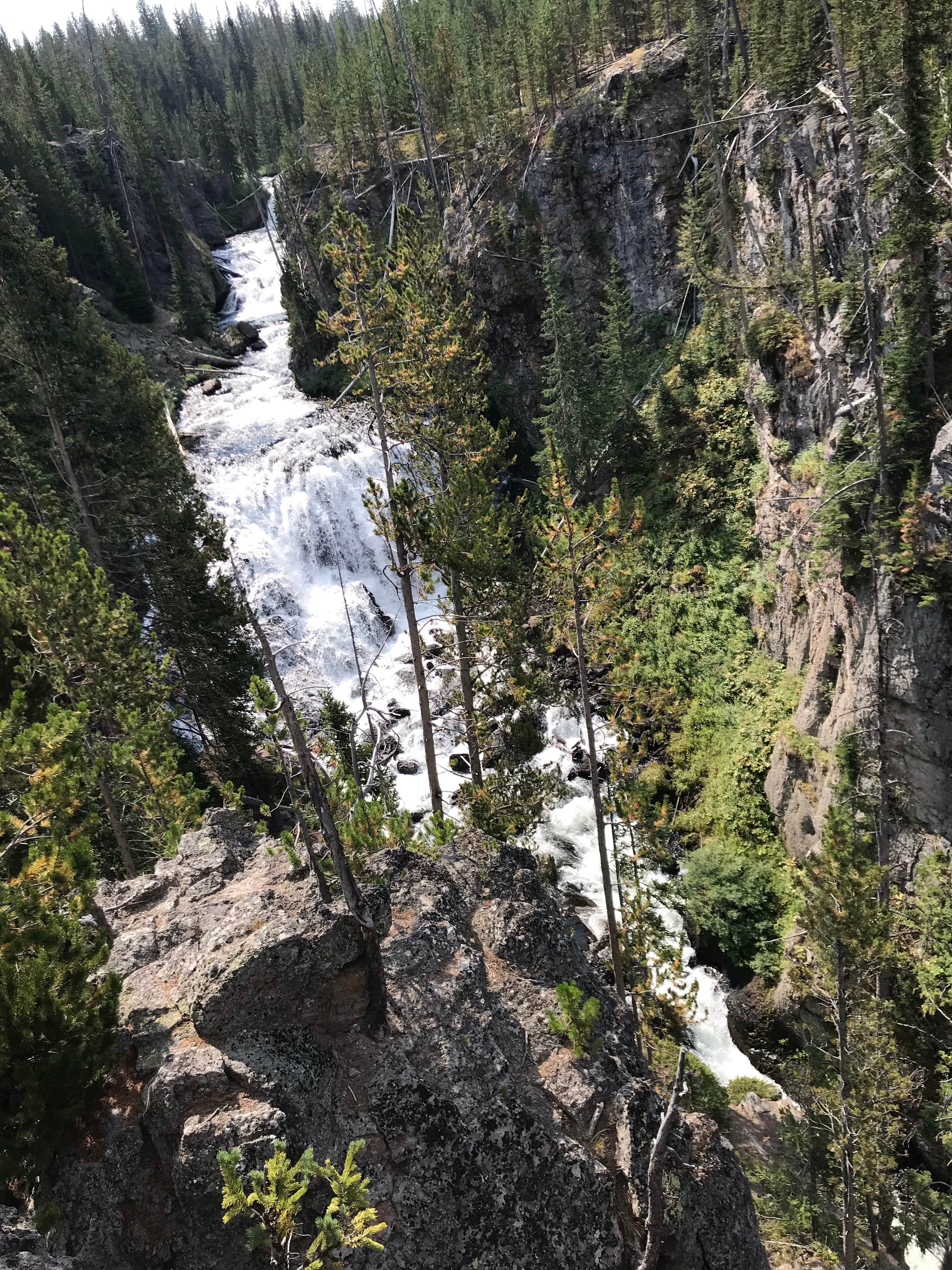 View All