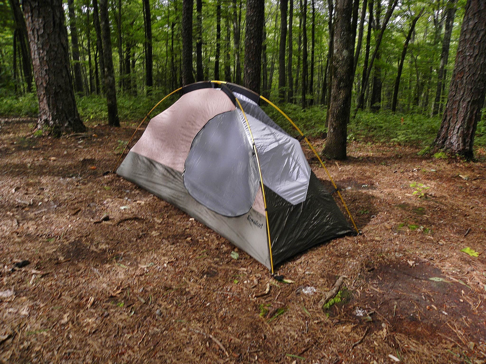 Myron C.'s photo of tent camping at Sumter National Forest Big Bend Campground near Balsam Grove, NC