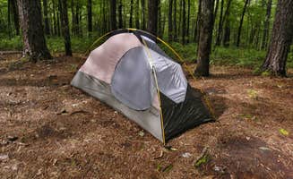 Myron C.'s photo of tent camping at Sumter National Forest Big Bend Campground near Seneca, SC