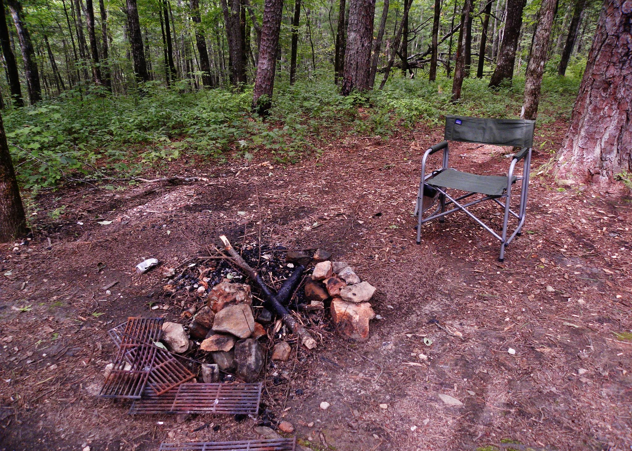 Sumter National Forest Big Bend Campground Camping The Dyrt
