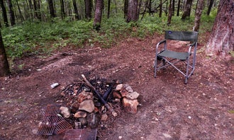 Sumter National Forest Big Bend Campground